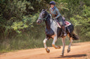 Person riding a horse on a dirt path with trees in the background